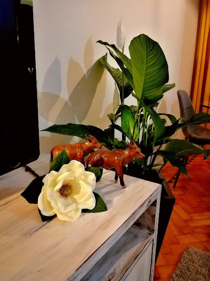 The Sunset Lisbon Flat Apartment Екстериор снимка
